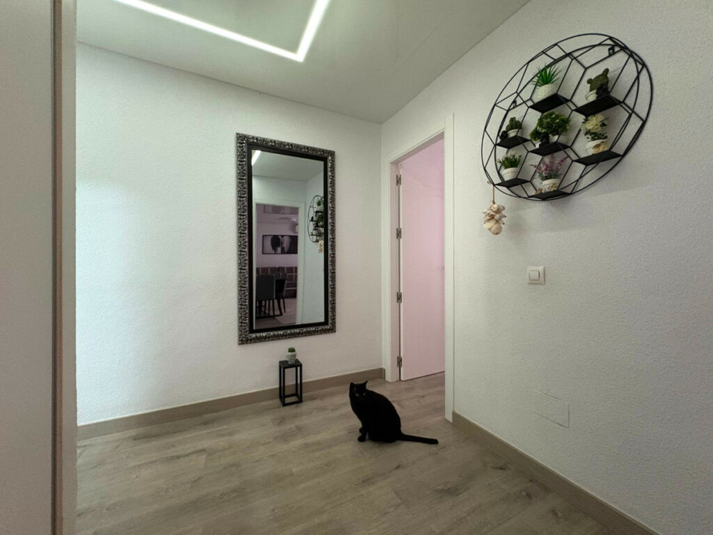 Ground Floor Apartment Torrevieja Alicante - image 2