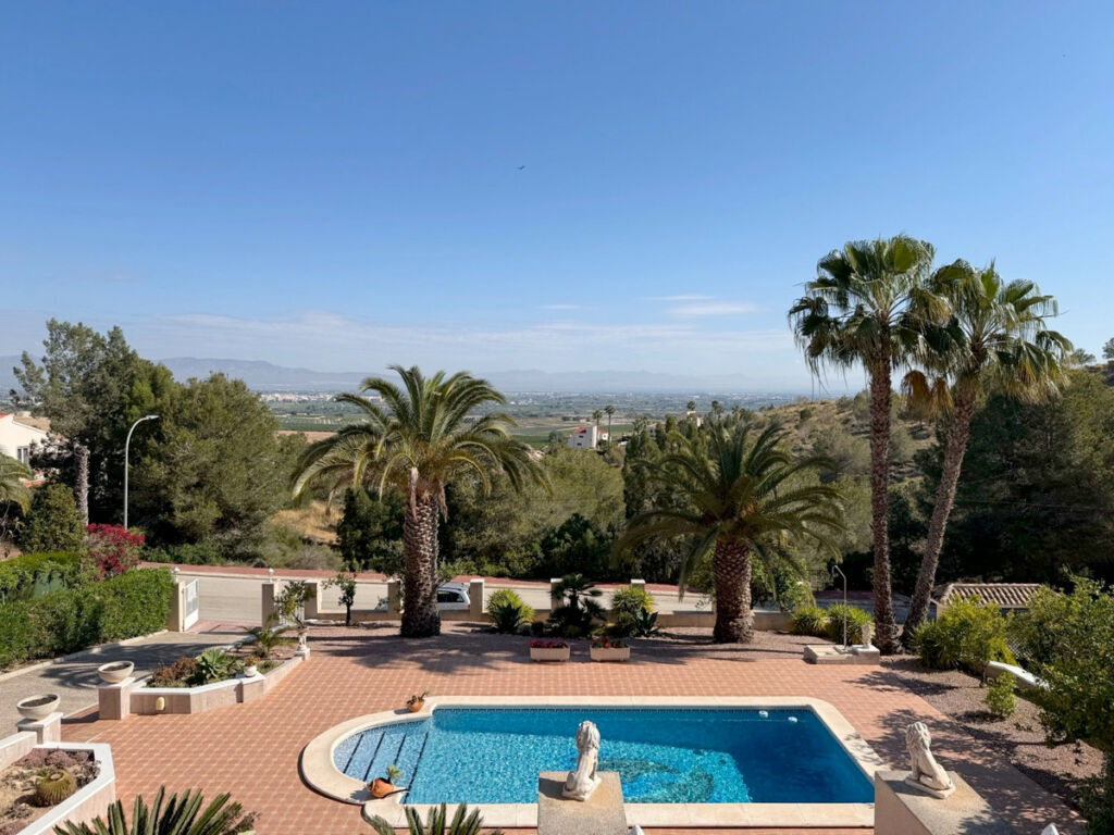 Detached Villa Algorfa Alicante - image 2