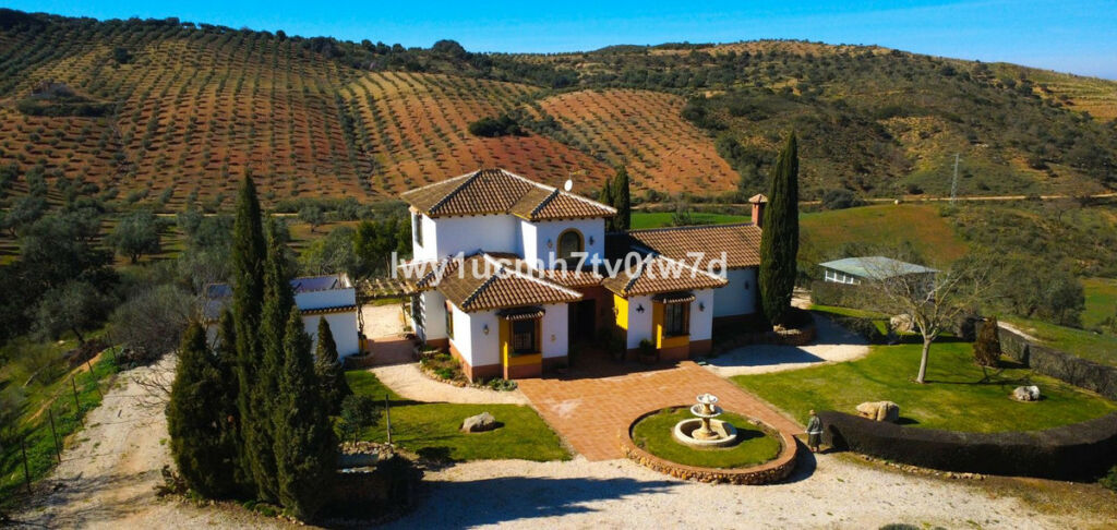 Finca - Cortijo Archidona Málaga - image 2