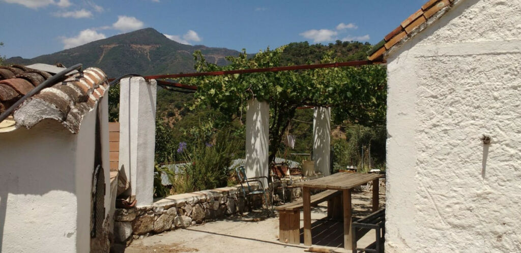 Finca - Cortijo Istán Málaga - image 2