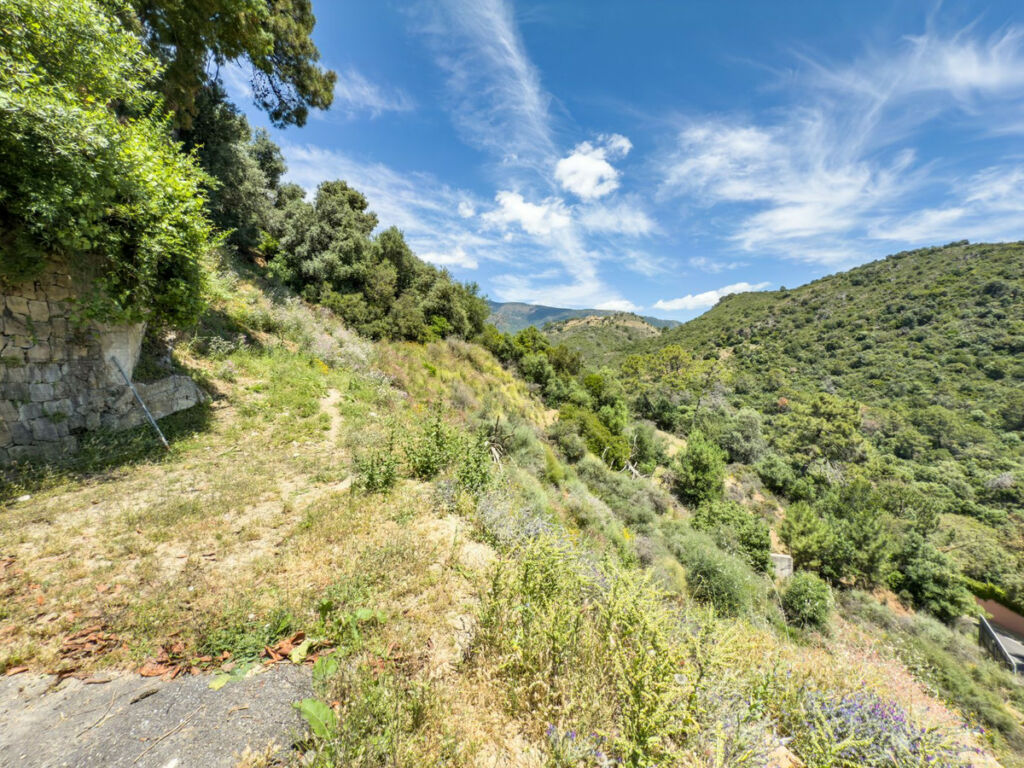 Residential Plot Benahavís Málaga - image 2