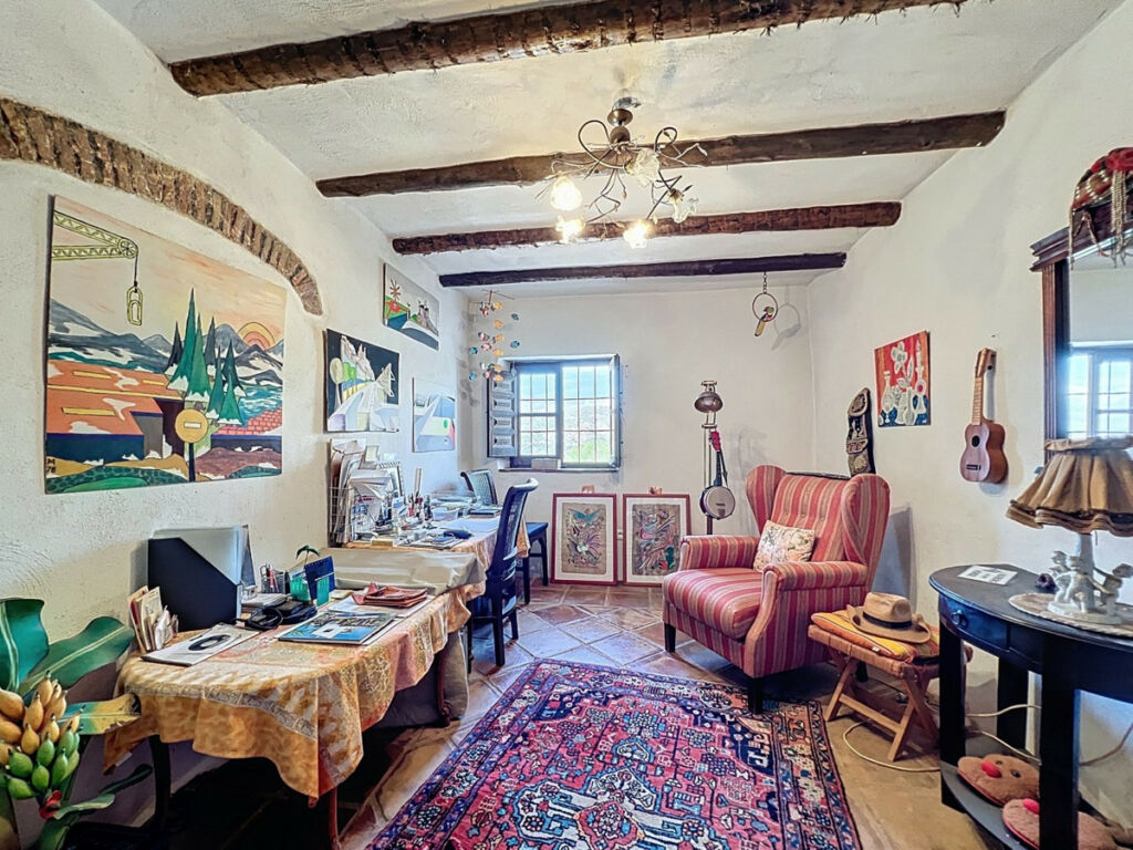 Detached Villa Sayalonga Málaga - image 20