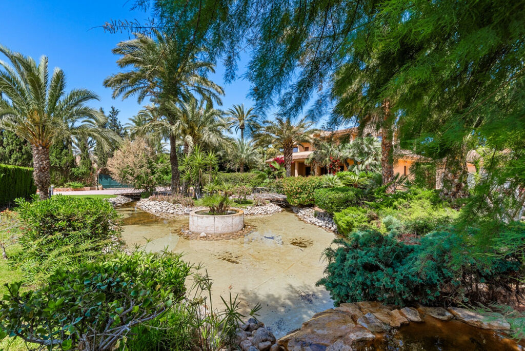 Detached Villa Elche Alicante - image 20