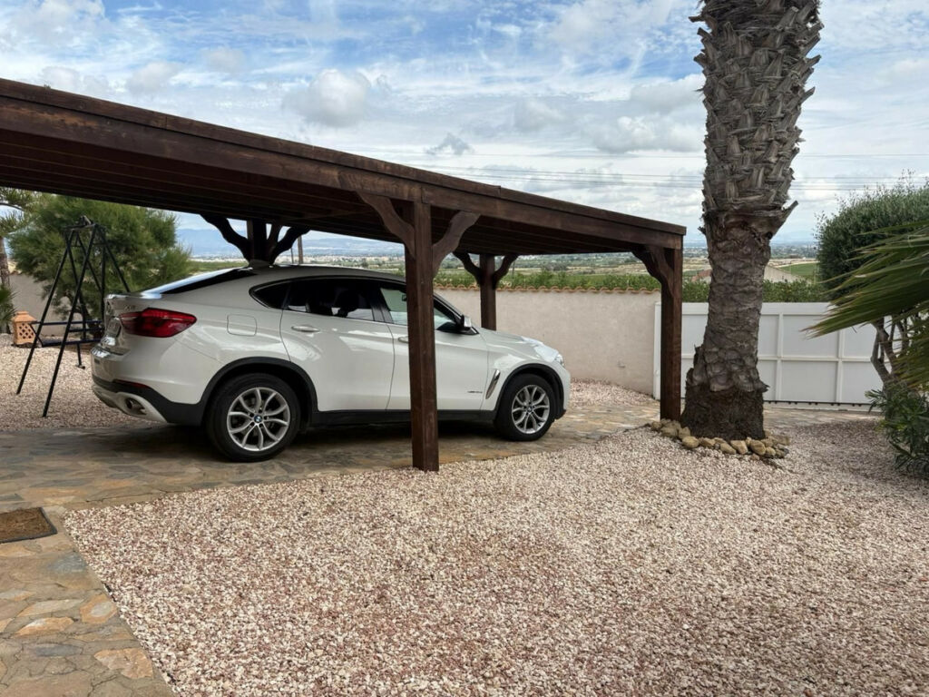 Detached Villa Algorfa Alicante - image 21