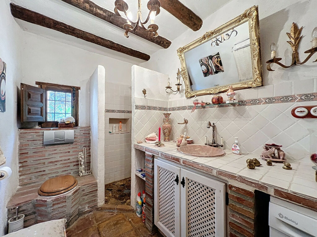 Detached Villa Sayalonga Málaga - image 21