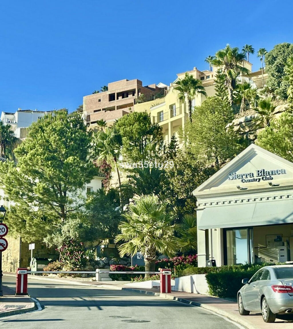 Detached Villa Istán Málaga - image 21