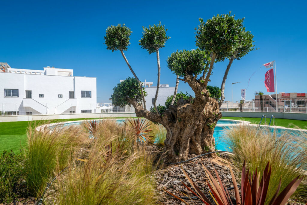 Ground Floor Apartment Torrevieja Alicante - image 22