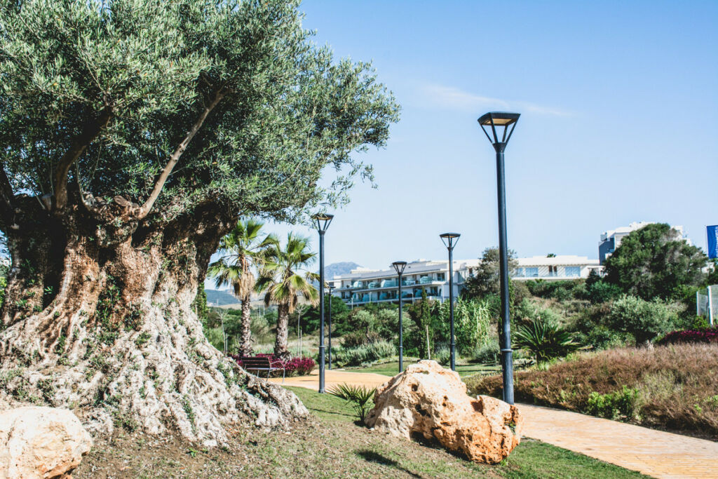 Middle Floor Apartment Estepona Málaga - image 22