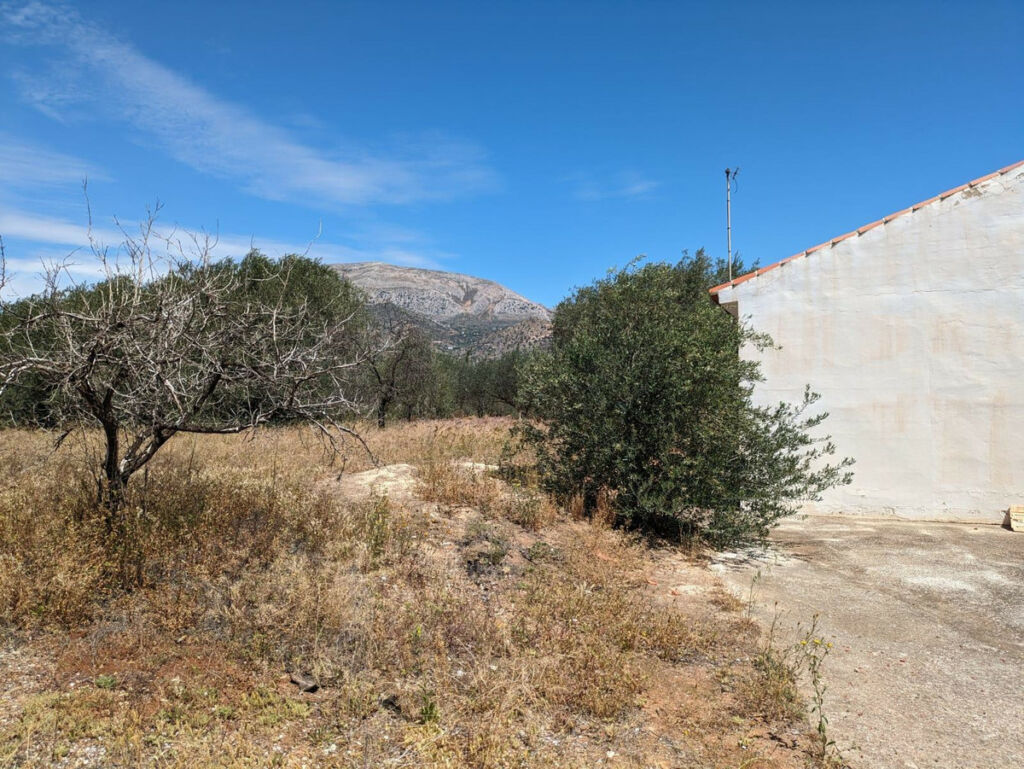 Finca - Cortijo Alora Málaga - image 22