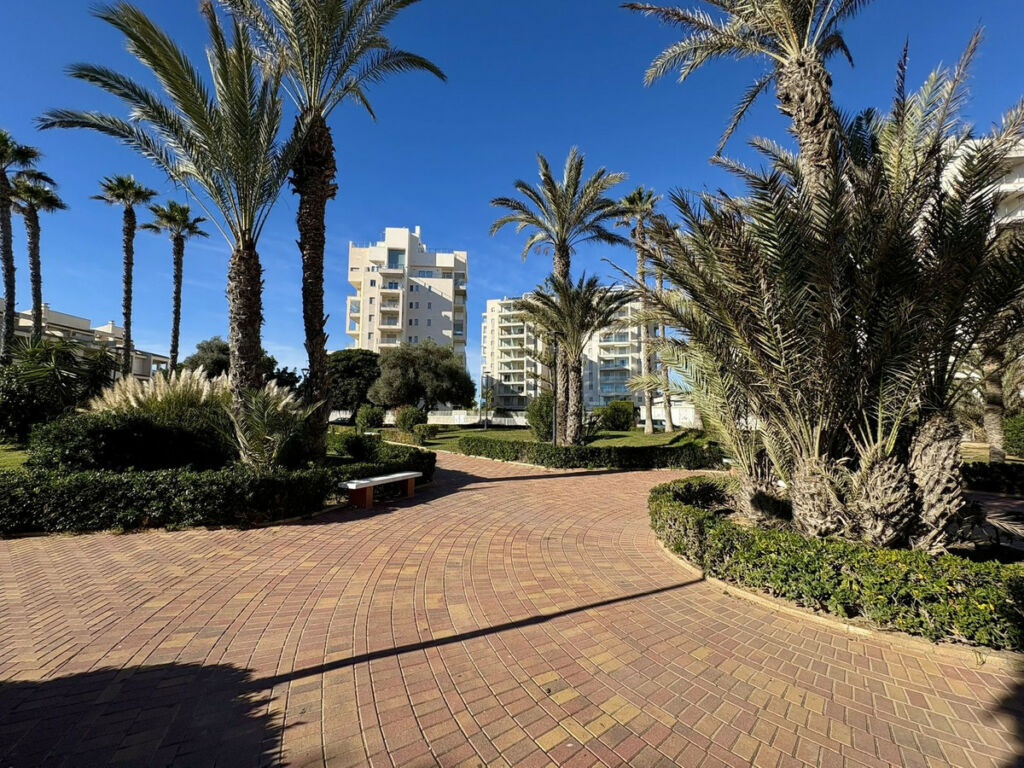 Middle Floor Apartment La Mata Alicante - image 22