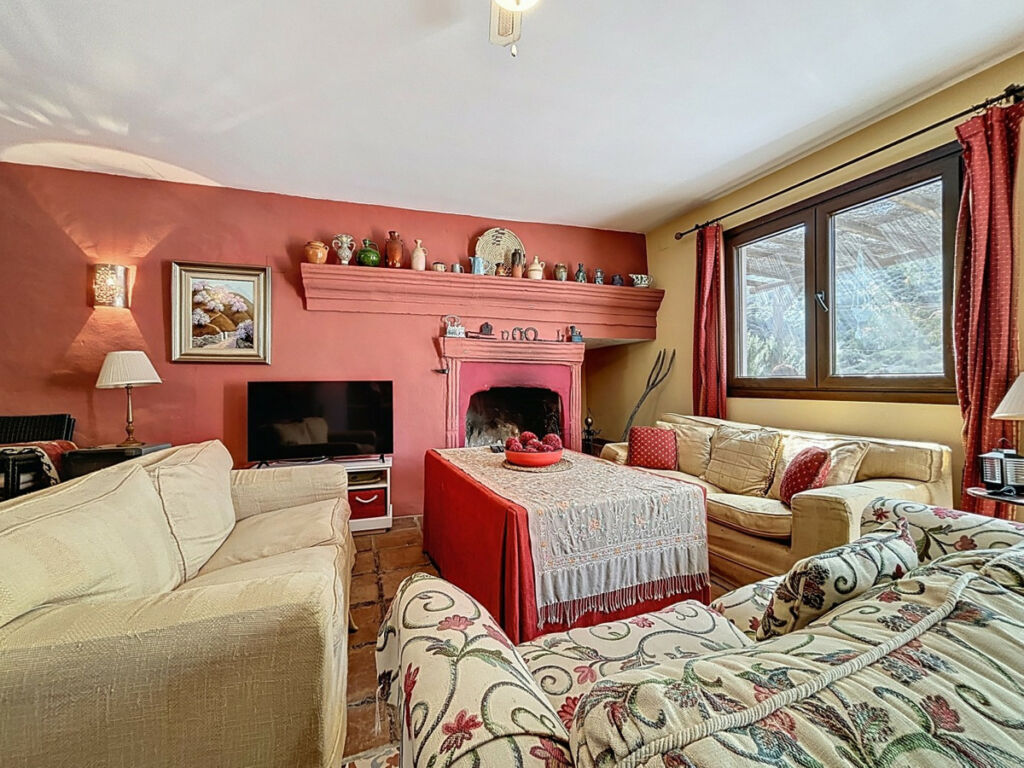 Detached Villa Comares Málaga - image 23