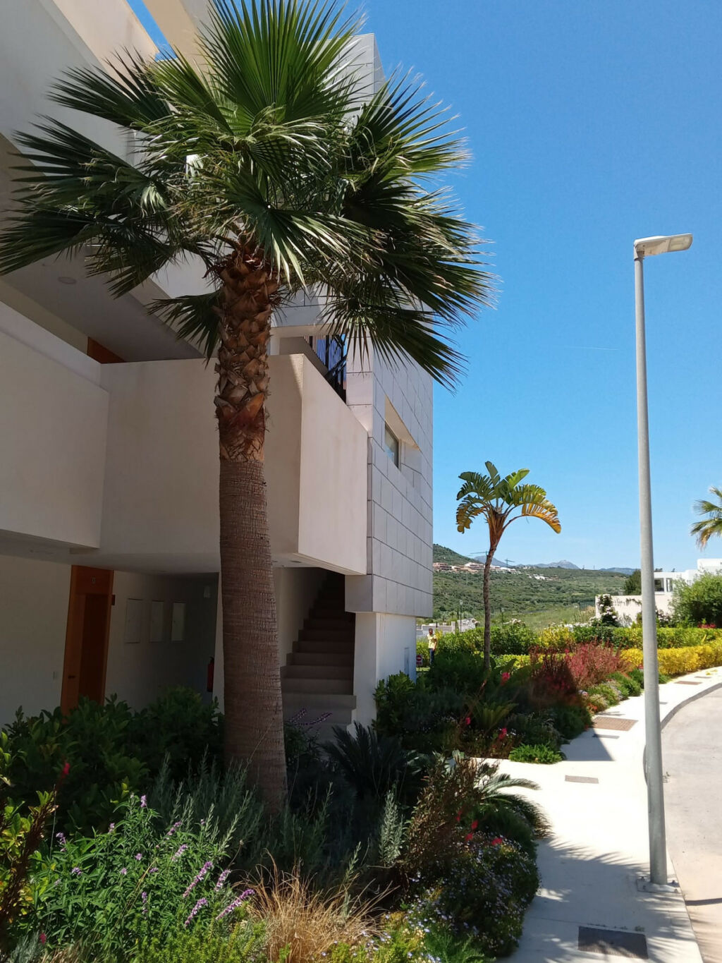 Ground Floor Apartment Casares Málaga - image 29