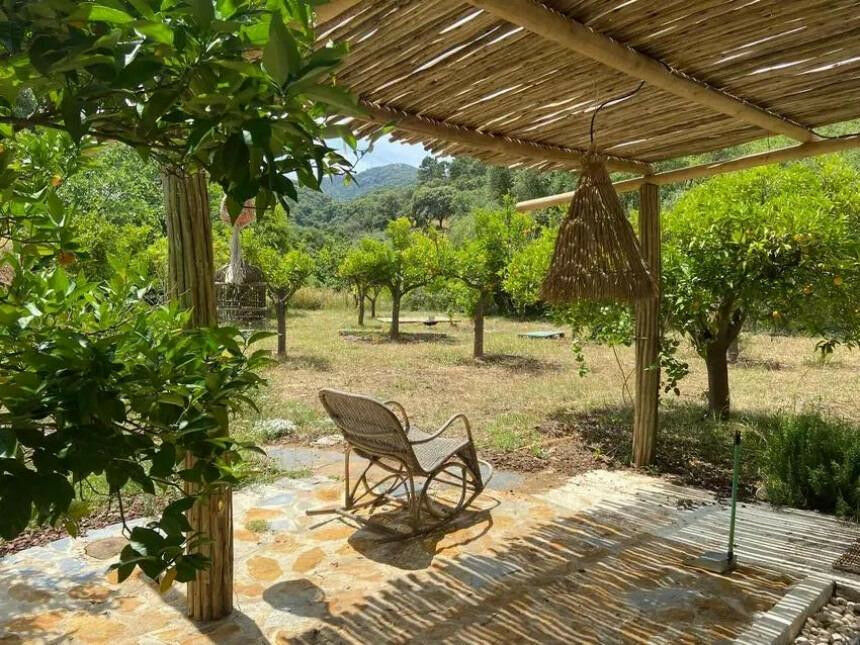 Finca - Cortijo Monda Málaga - image 25