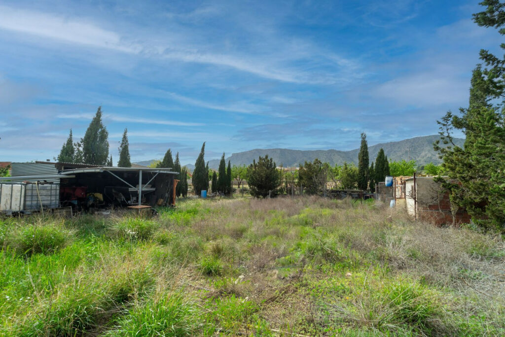 Detached Villa Salinas Alicante - image 24
