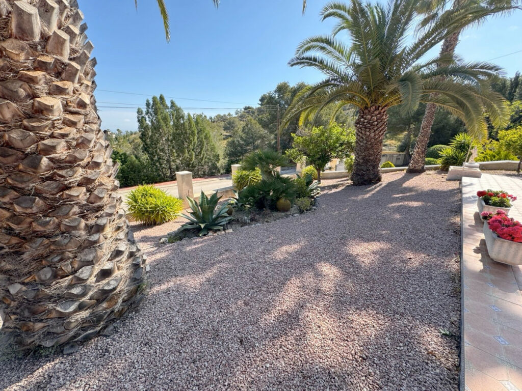 Detached Villa Algorfa Alicante - image 23