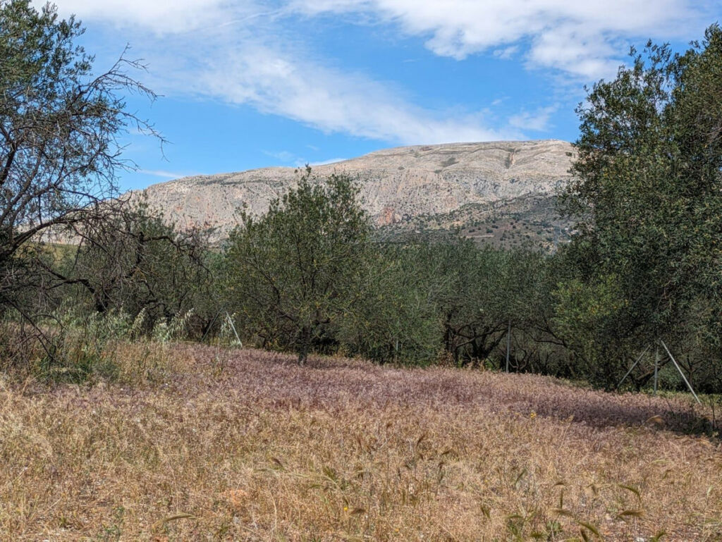 Finca - Cortijo Alora Málaga - image 24