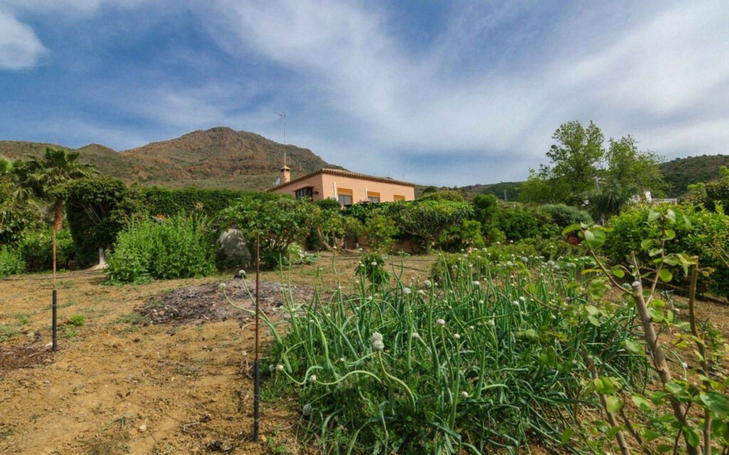 Finca - Cortijo Estepona Málaga - image 24