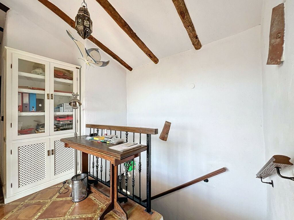 Detached Villa Sayalonga Málaga - image 24