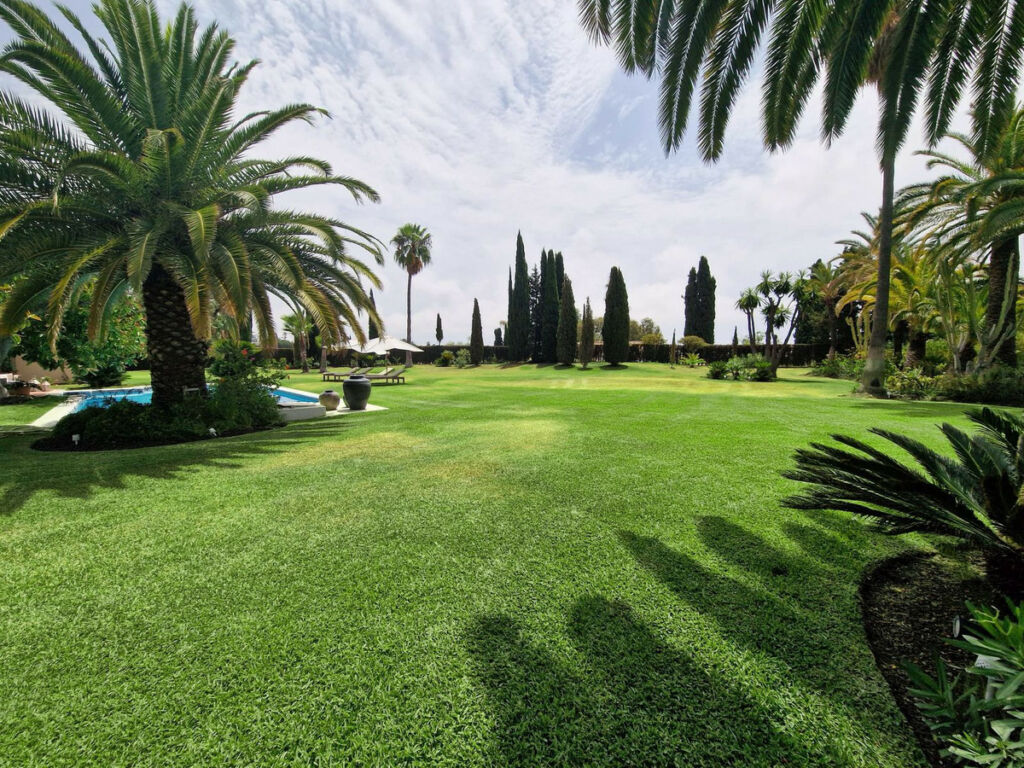 Detached Villa Benahavís Málaga - image 25