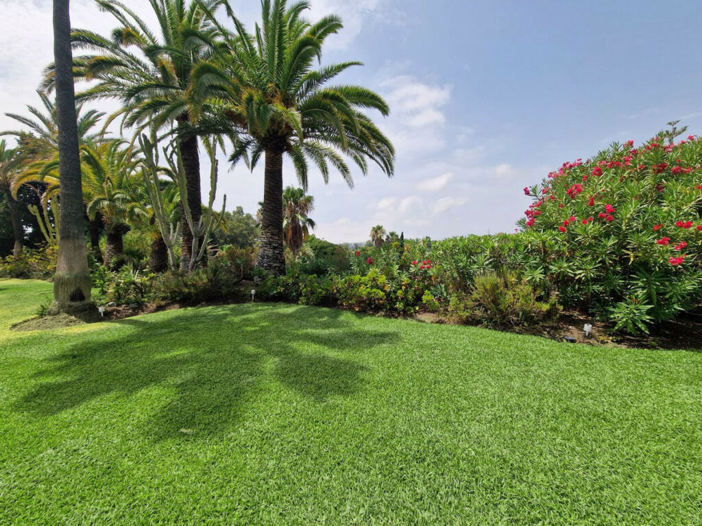 Detached Villa Benahavís Málaga - image 26