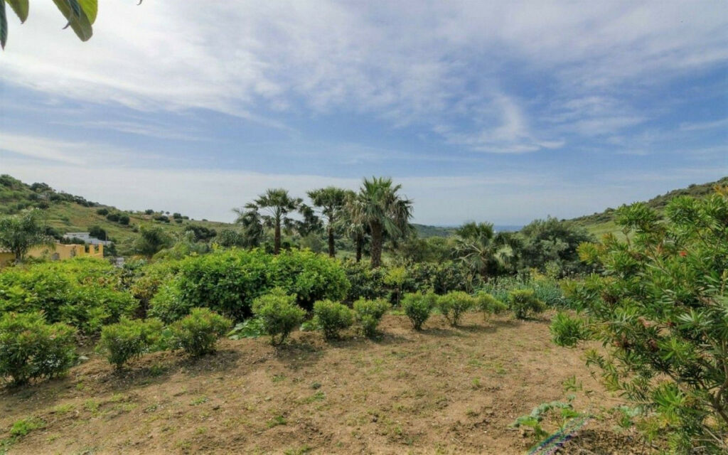 Finca - Cortijo Estepona Málaga - image 25
