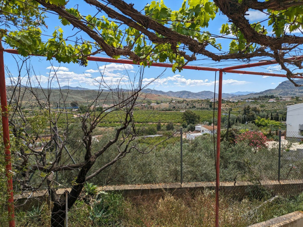 Finca - Cortijo Alora Málaga - image 25