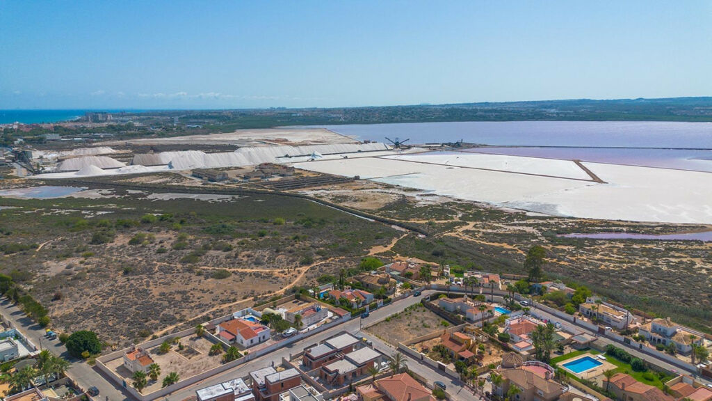 Detached Villa Torrevieja Alicante - image 25