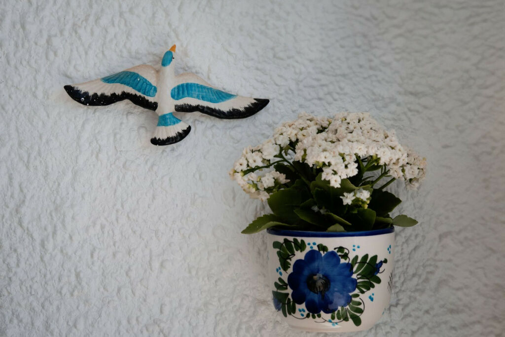 Ground Floor Apartment Torrevieja Alicante - image 25