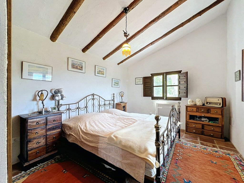Detached Villa Sayalonga Málaga - image 25