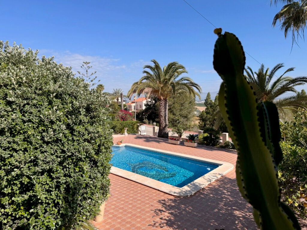 Detached Villa Algorfa Alicante - image 25
