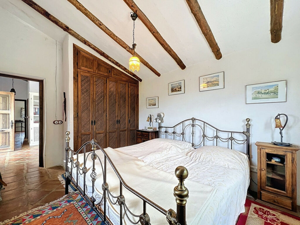 Detached Villa Sayalonga Málaga - image 26