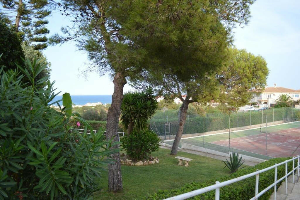 Bungalow Torrevieja Alicante - image 27