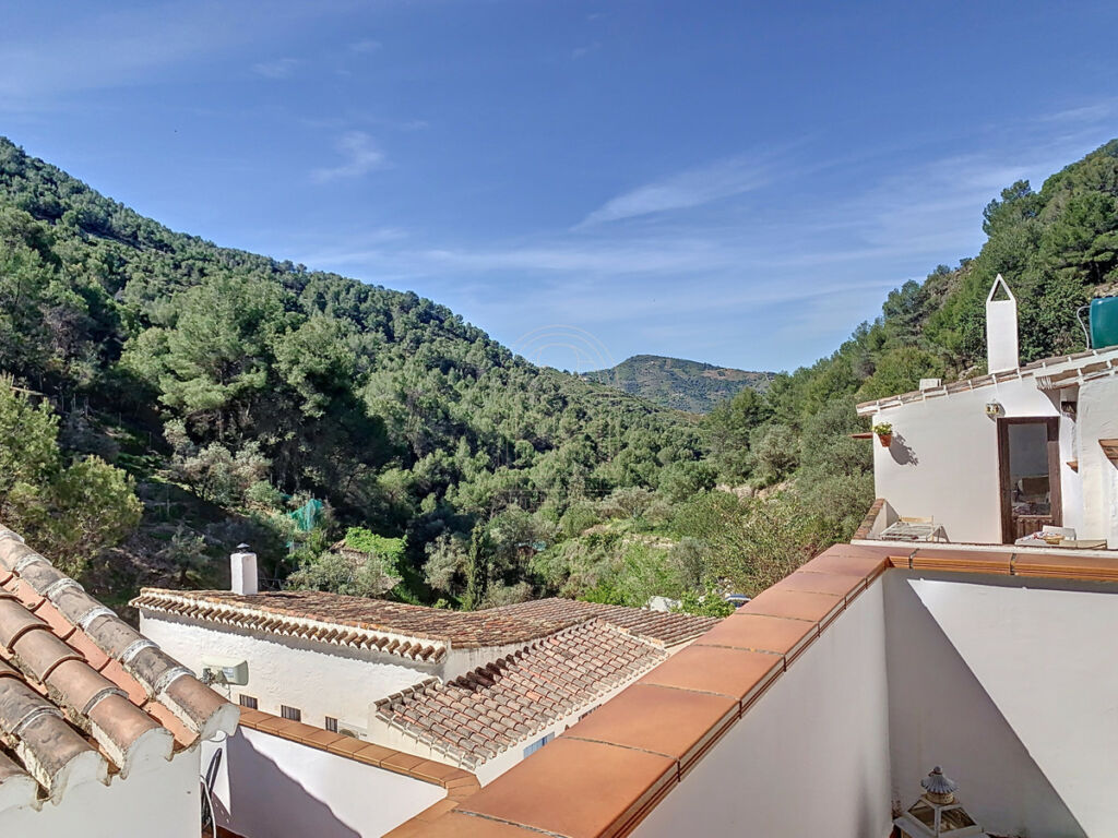 Townhouse Cómpeta Málaga - image 27