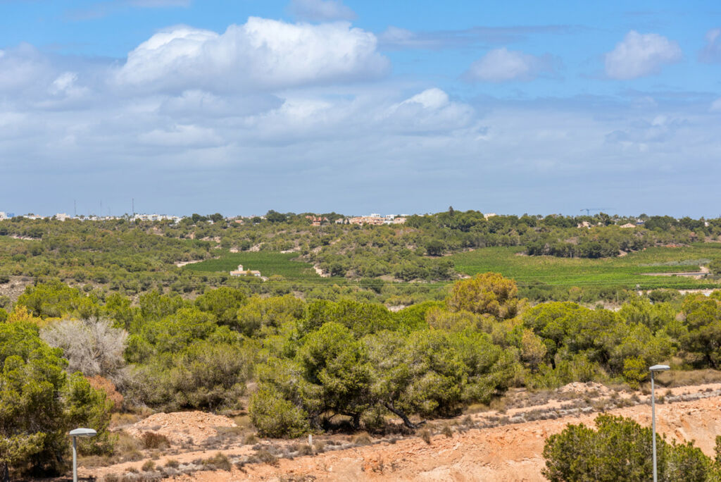 Middle Floor Apartment Campoamor Alicante - image 27
