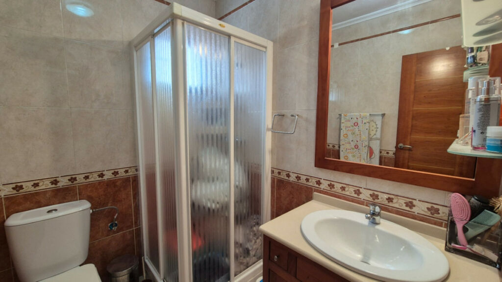Detached Villa Torrevieja Alicante - image 28