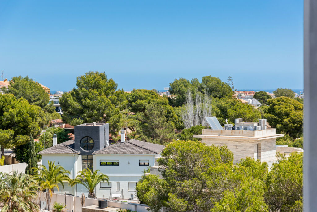 Middle Floor Apartment Campoamor Alicante - image 28