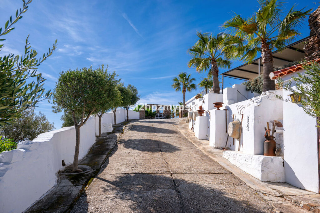 Detached Villa Sayalonga Málaga - image 29