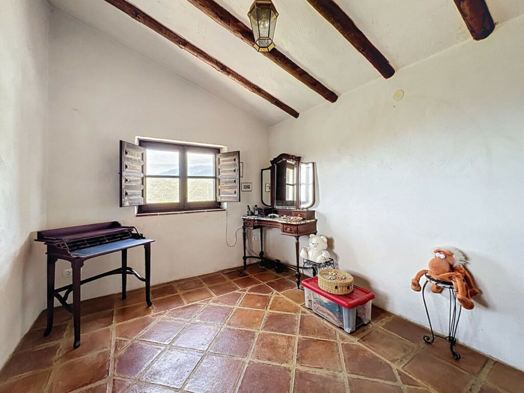 Detached Villa Sayalonga Málaga - image 29