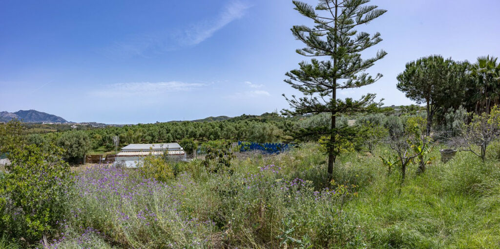 Land La Cala de Mijas Málaga - image 31