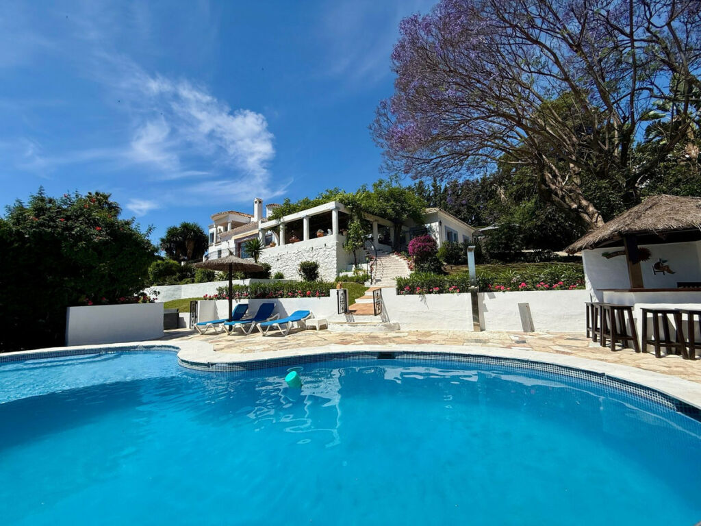 Detached Villa Guadalmina Alta Málaga - image 3
