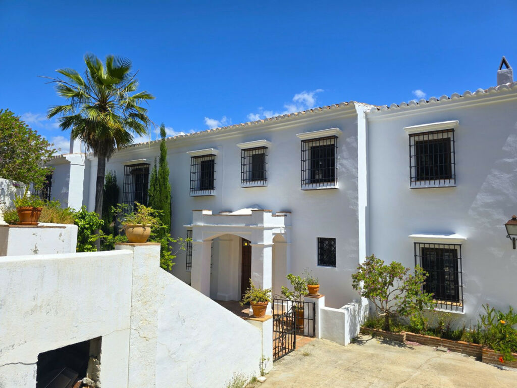 Detached Villa Torrox Málaga - image 3