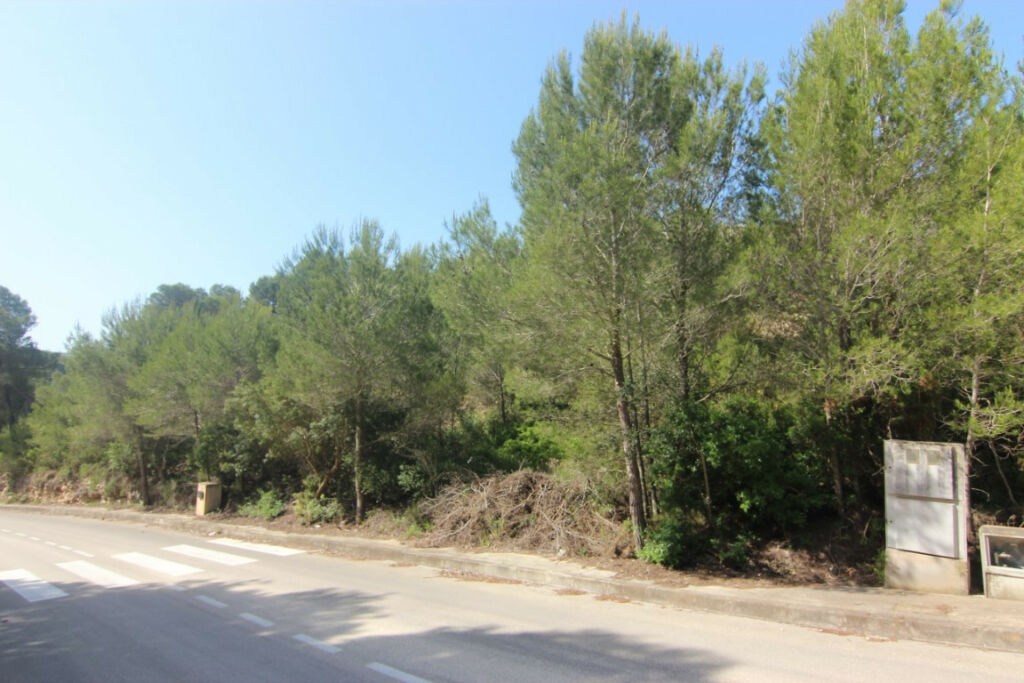Land Javea Alicante - image 3