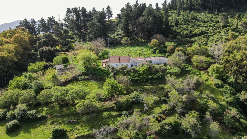 Finca - Cortijo Gaucín Málaga - image 3