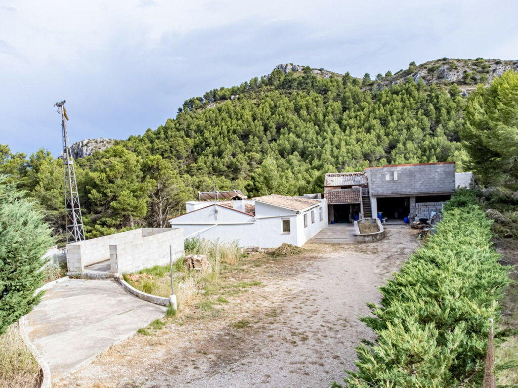 Finca - Cortijo Confrides Alicante - image 4