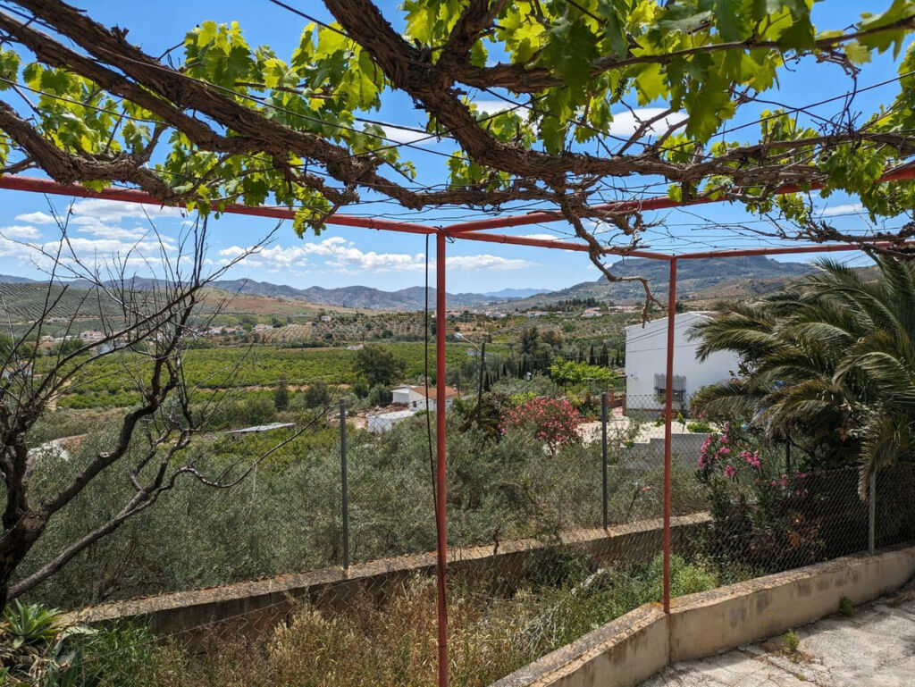 Finca - Cortijo Alora Málaga - image 3