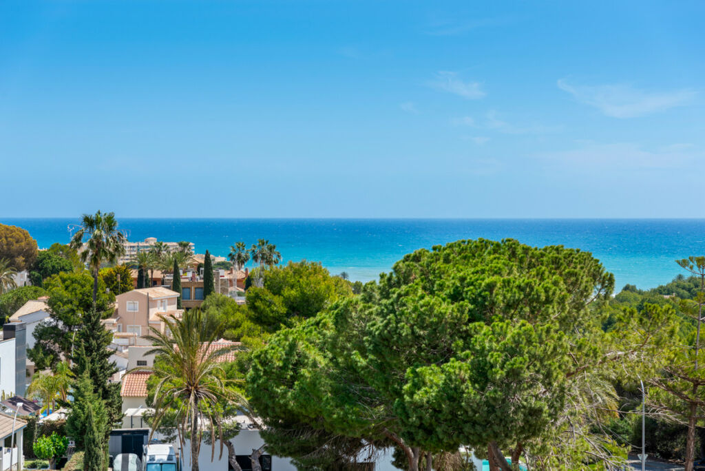 Middle Floor Apartment Campoamor Alicante - image 3