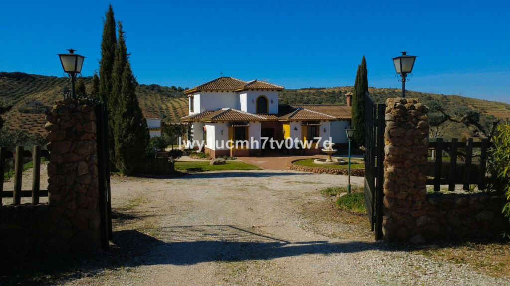 Finca - Cortijo Archidona Málaga - image 3