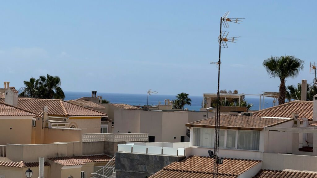 Detached Villa Torrevieja Alicante - image 30