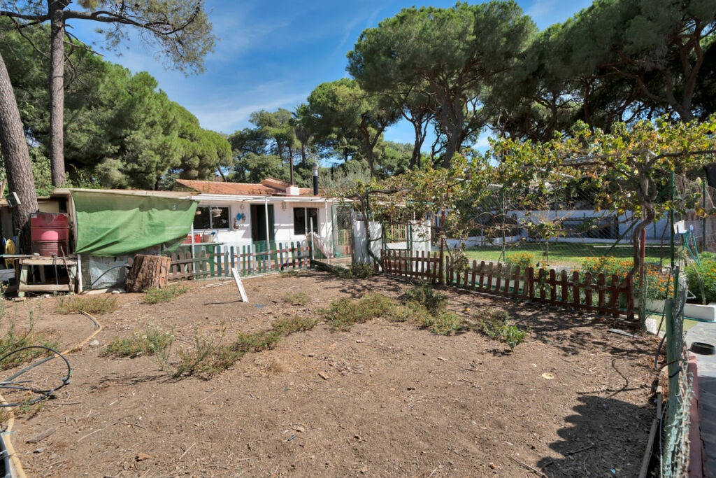 Detached Villa Marbella Málaga - image 30