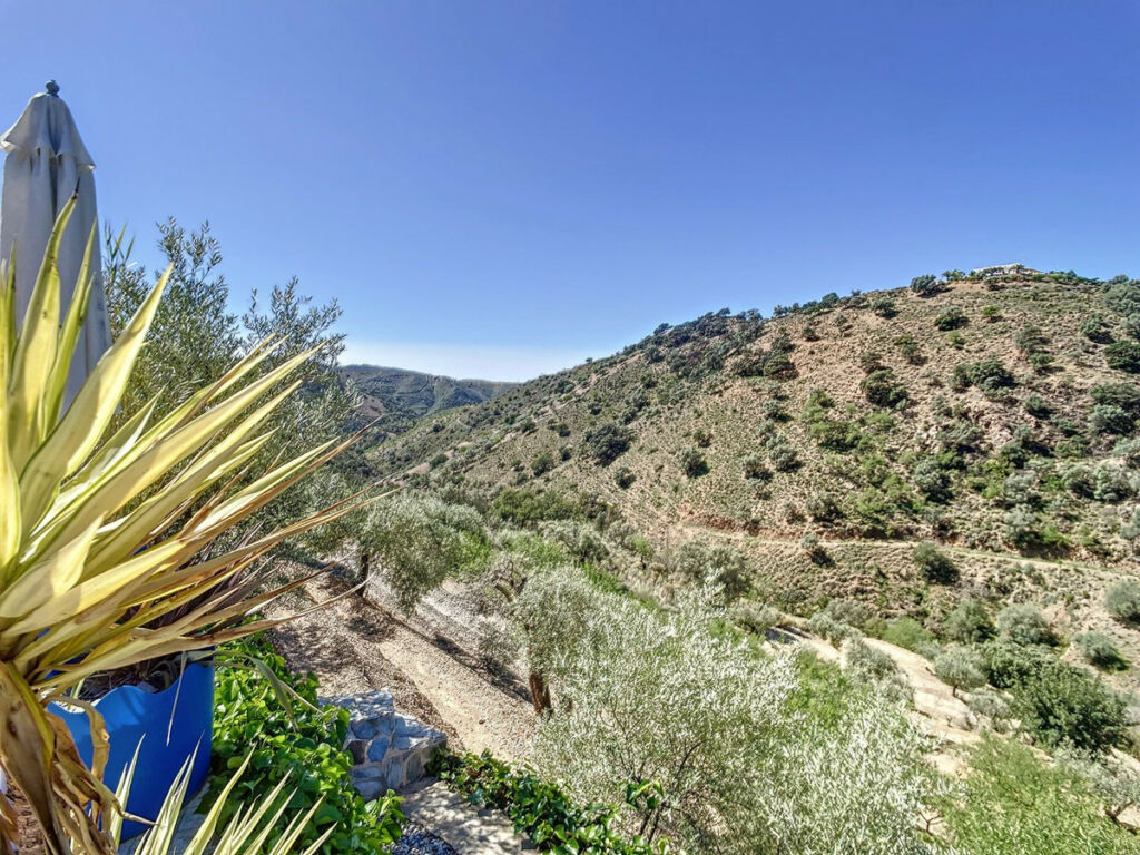 Finca - Cortijo Sedella Málaga - image 30